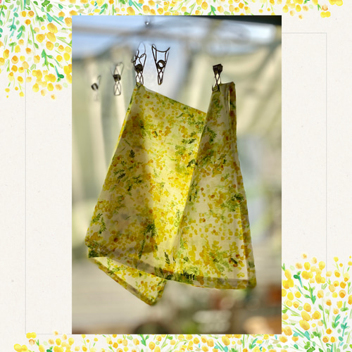 テーブルナプキン ミモザ ハンカチやお弁当包みにも使える 50cmx50cm