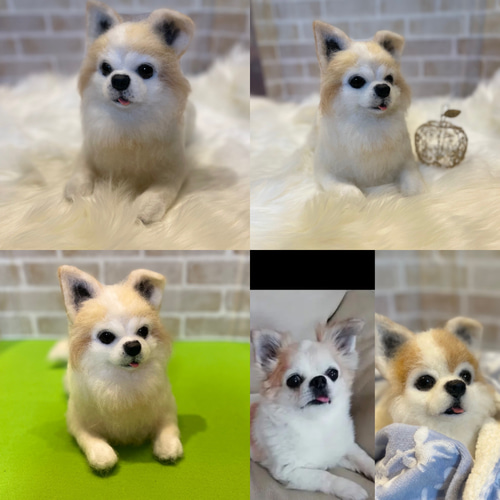 羊毛フェルト オーダー 受付ページ momoichigo 【公式通販】