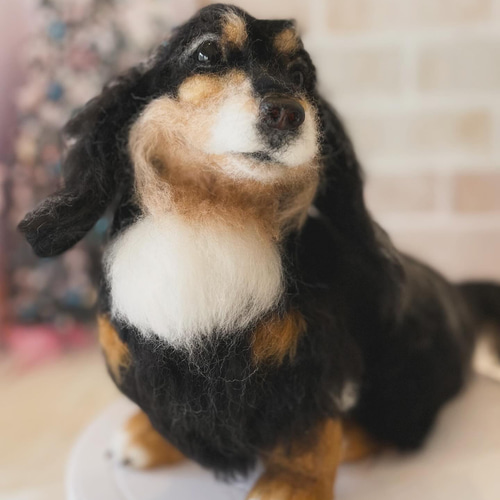 新しいコレクション オーダー受付中 羊毛フェルト momoichigo 羊毛フェルト 羊毛フェルト