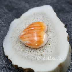 5,52ct Spiny Oysrer Shell スパイニーオイスターシェル　ハート型　ルース ハンドメイド材料 3枚目の画像