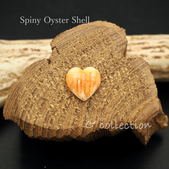 5,52ct Spiny Oysrer Shell スパイニーオイスターシェル　ハート型　ルース ハンドメイド材料 1枚目の画像