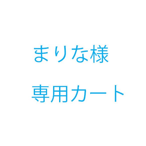 まりな様オーダー品 1枚目の画像