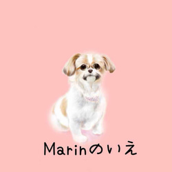 ☆マリンの家☆羊毛フェルト 犬 ボストンテリア ヨークシャテリア