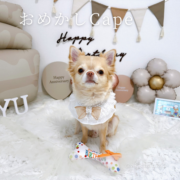おめかし3wayケープ（誕生日、つけ襟、スタイ、犬、猫、うさぎ