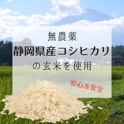 【発芽酵素玄米】150g×10個セット【送料無料】 真空パック 冷凍 クール便 発酵玄米 寝かせ玄米 腸活 ダイエット 4枚目の画像