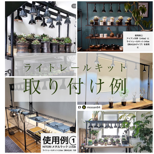 育成ライトが取付可、ライトレールスタンド　植物棚　アガベ　塊根　ボタニカルシェルフ 