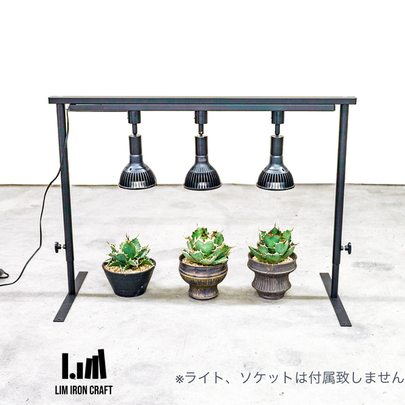 育成ライトが取付可、ライトレールスタンド　植物棚　アガベ　塊根　ボタニカルシェルフ 