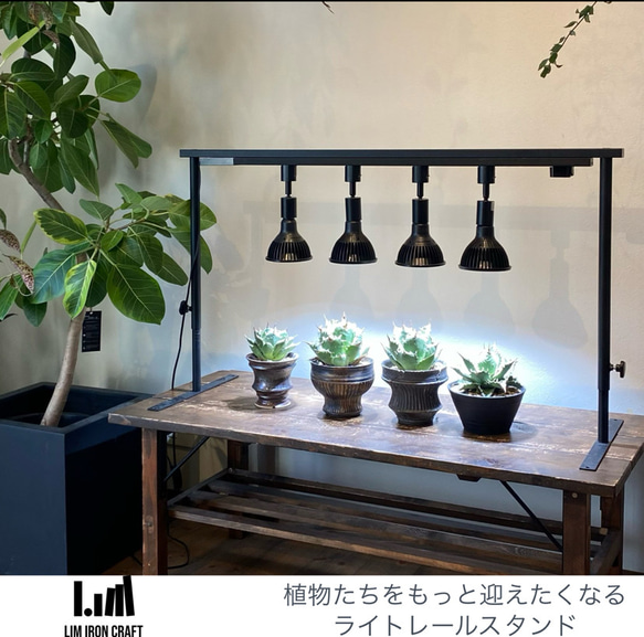 育成ライトが取付可、ライトレールスタンド　植物棚　アガベ　塊根　ボタニカルシェルフ 