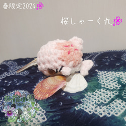春限定2024 桜しゃーく丸  サメ 鮫 オリジナルキャラクター 3枚目の画像