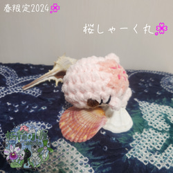 春限定2024 桜しゃーく丸  サメ 鮫 オリジナルキャラクター 10枚目の画像