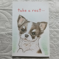 「take a rest」 1枚目の画像