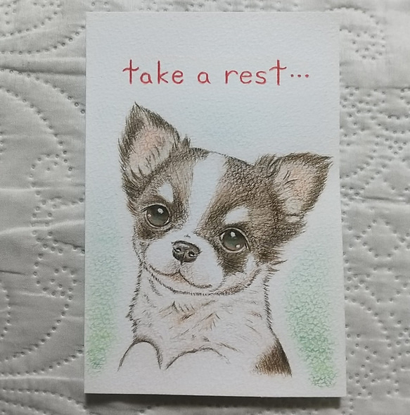 「take a rest」 1枚目の画像