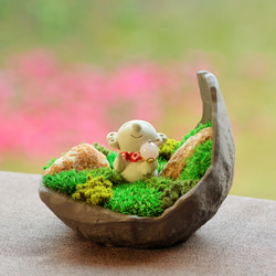 胡蝶蘭♪クレイフラワー アートフラワー Clay Art Kanon 通販 15229957