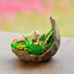 胡蝶蘭♪クレイフラワー アートフラワー Clay Art Kanon 通販 15229957