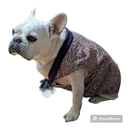 着物ちゃんちゃんこ/Kimono chanchanko ペット服・アクセサリー Ohana