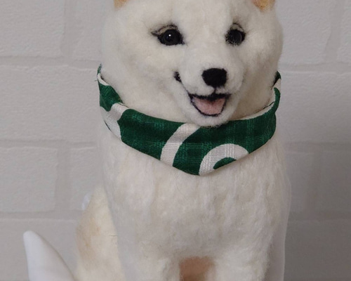 1bf5e79fbb57974e068622c8e0ed02