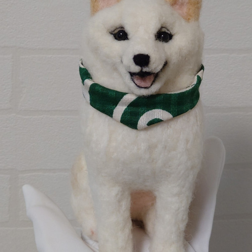 柴犬 羊毛 羊毛フェルト ハンドメイド 白柴 羊毛フェルト allenkuro48