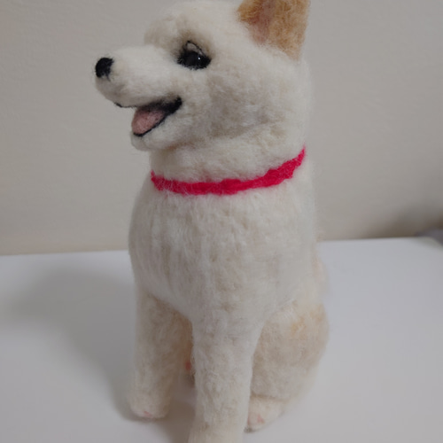 柴犬 羊毛 羊毛フェルト ハンドメイド 白柴 羊毛フェルト allenkuro48