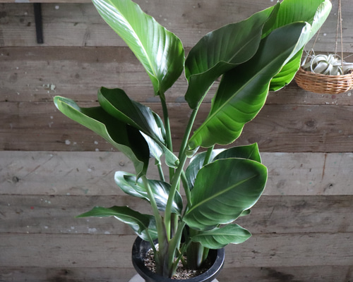 57db4e64e580243ad6c9c9eb2b9569