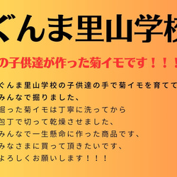 イヌリンたっぷり菊イモ茶をご紹介致します！！ 5枚目の画像