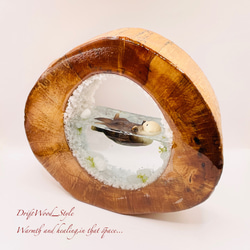 一つ限りの流木アート 海に浮かぶラッコ ジオラマ 流木 フィギュア 置物 インテリア レジン テラリウム 生き物 N19 5枚目の画像