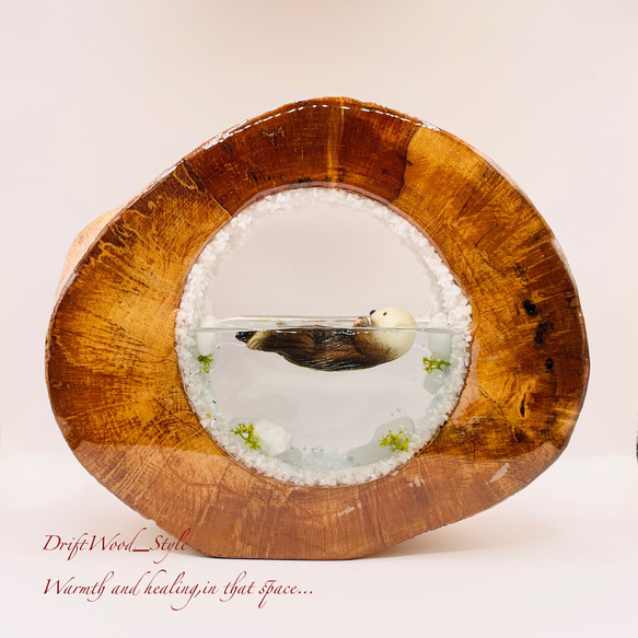 一つ限りの流木アート 海に浮かぶラッコ ジオラマ 流木 フィギュア 置物 インテリア レジン テラリウム 生き物 N19 1枚目の画像