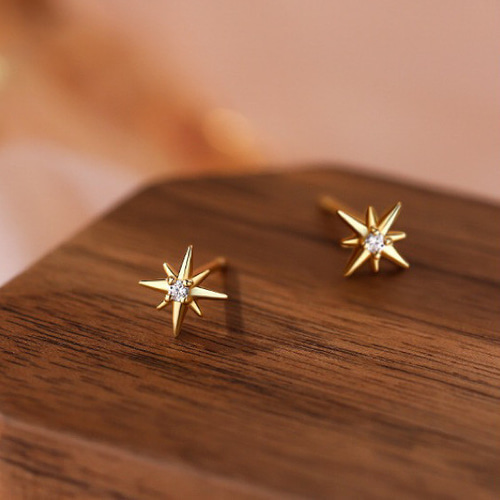 ピアス シルバー925 小ぶり ミニ八芒星 ピアス 金属アレルギー対応