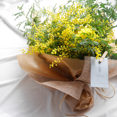 ミモザミモザフレッシュ