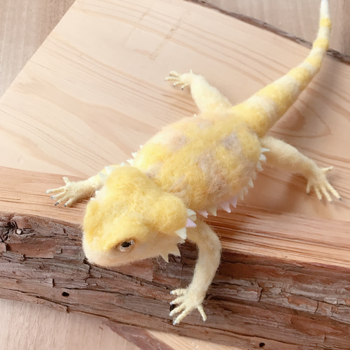 フトアゴヒゲトカゲ yellow 羊毛フェルト 羊毛フェルトで爬虫類「とか