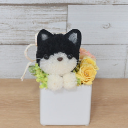 もこペット【黒猫】プリザーブドフラワー アレンジメント ハチワレ猫 ペット 母の日 誕生日 お供え 花 フラワー 2枚目の画像