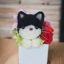 もこペット【黒猫】プリザーブドフラワー アレンジメント ハチワレ猫 ペット 母の日 誕生日 お供え 花 フラワー 1枚目の画像