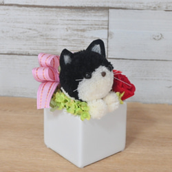 もこペット【黒猫】プリザーブドフラワー アレンジメント ハチワレ猫 ペット 母の日 誕生日 お供え 花 フラワー 7枚目の画像