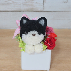 もこペット【黒猫】プリザーブドフラワー アレンジメント ハチワレ猫 ペット 母の日 誕生日 お供え 花 フラワー 3枚目の画像