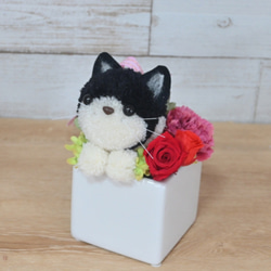 もこペット【黒猫】プリザーブドフラワー アレンジメント ハチワレ猫 ペット 母の日 誕生日 お供え 花 フラワー 4枚目の画像