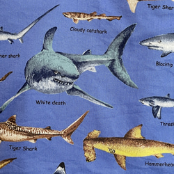 大きめサイズ　サメ好きすぎレッスンバック　ブルー/11号帆布ダーク切替　35×45 ループからバッグ底35cm対応 3枚目の画像