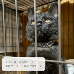 軽くてやわらかいレース編みの猫の首輪＊シンプルな透かし模様（ワインレッド）〜子猫・初めて首輪にも〜 5枚目の画像