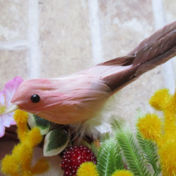 ◇398 ピンクの小鳥と蝶　桜ミモザと苺のリース  ※中サイズ・約18㎝・完全１点物 9枚目の画像