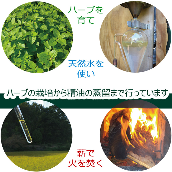 練り香水（ホーリーバジル）　自家栽培国産オーガニックホーリーバジル精油１００％使用 3枚目の画像