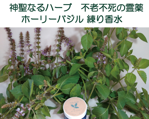 練り香水（ホーリーバジル） 自家栽培国産オーガニックホーリー