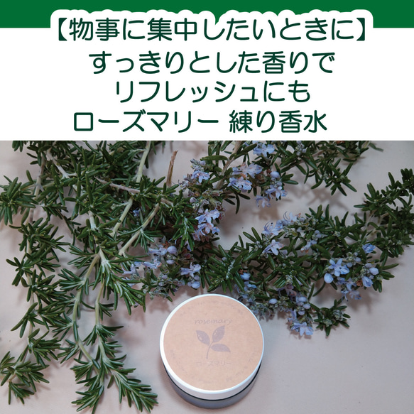 自家栽培ローズマリー⭐︎ 農薬：栽培期間中不使用⭐︎ 室内でも鉢植えで