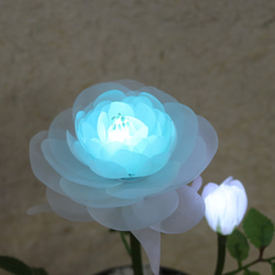 開花華 フローラサイクル　お花が咲き光る 誕生日 記念日  ギフト 8枚目の画像