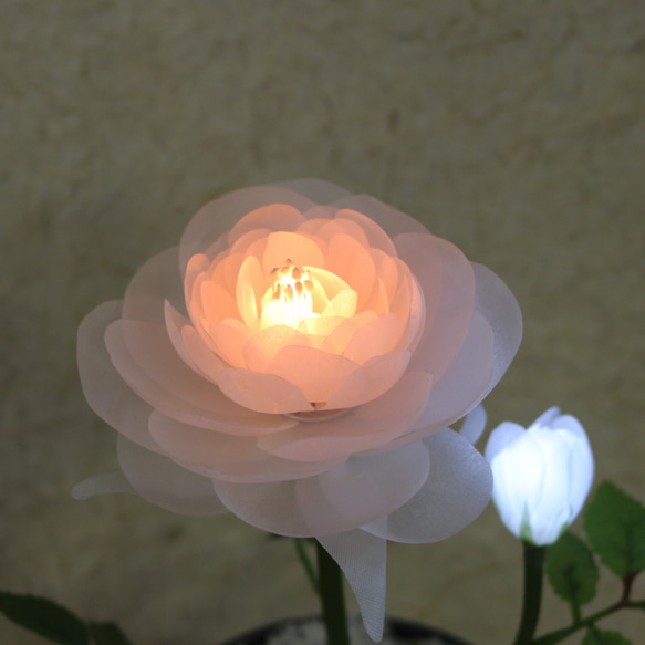 開花華 フローラサイクル　お花が咲き光る 誕生日 記念日  ギフト 7枚目の画像
