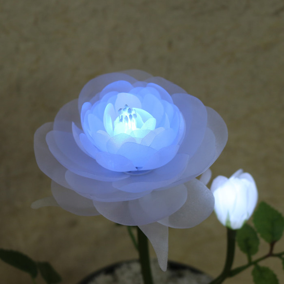 開花華 フローラサイクル　お花が咲き光る 誕生日 記念日  ギフト 5枚目の画像