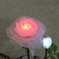 開花華 フローラサイクル　お花が咲き光る 誕生日 記念日  ギフト 9枚目の画像