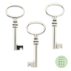 ヴァーディ 大津モールプラザ キーチャーム ヴィック シルバー Girls Don't Cry 新品 オツモ プラザ OTSUMO PLAZA KEY CHARM