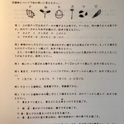 開智日本橋中学校 　2025年合格必勝プリントセット 開智日本橋中学校 2025年新合格への算数プリント：ステップ2教材