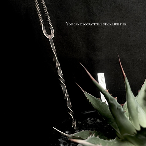 P*中様 アガベ　242　約80株セット 　オアハカ産　 メキシコ　オテロイ　実 P*中様 アガベ 242 約80株セット オアハカ産 メキシコ オテロイ 実 P