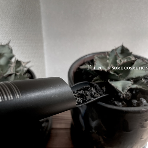 植物植替えスコップ G.shovel 植物棚 グラキリス パキプス 塊根