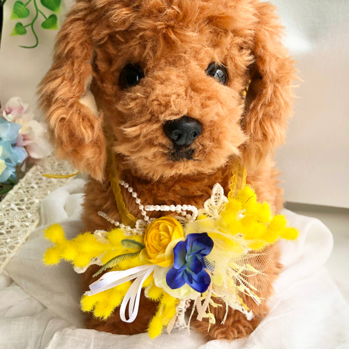 芸能人愛用 犬お花チョーカー≪ミモザのチョーカー≫ トリミング 写真撮影 犬服・アクセサリー
