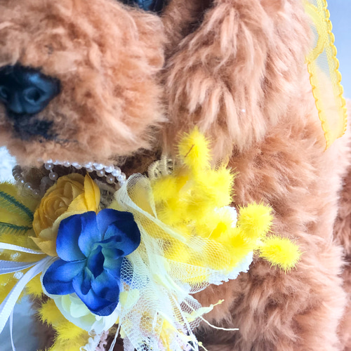 犬お花チョーカー≪ミモザのチョーカー≫ 写真撮影 トリミング